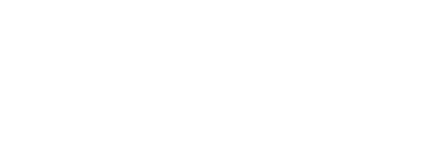 Solução Pneu Agro